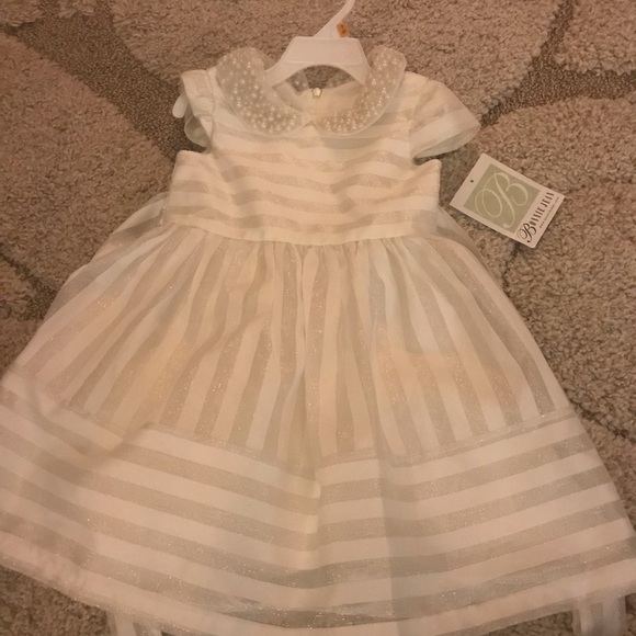 Other - Never worn Flower girl/ Easter / church dress